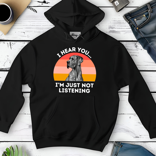 I hear you...I'm just not listening